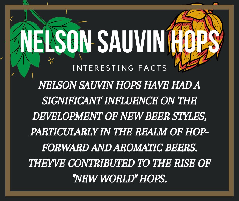 Meet the hops that bring a touch of New Zealand's wine country to your glass. Nelson Sauvin hops, with their notes of white wine, gooseberry, and tropical fruits, are a brewer's dream. Perfect for IPAs, saisons, and more. 🍷🍺 #NelsonSauvin #CraftBeerHops