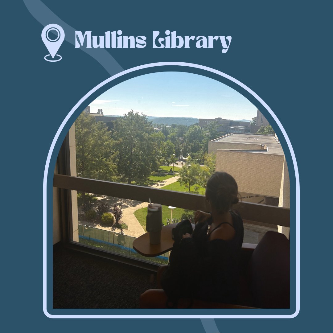 Main Hill Media tweet media