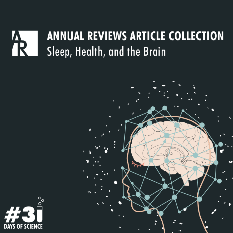 AnnualReviews's tweet photo. Free article collection that explores varying perspectives of the complex relationship between sleep, health, and the brain. https://t.co/kW5kKYW4dB
#sleephealth #31daysofscience