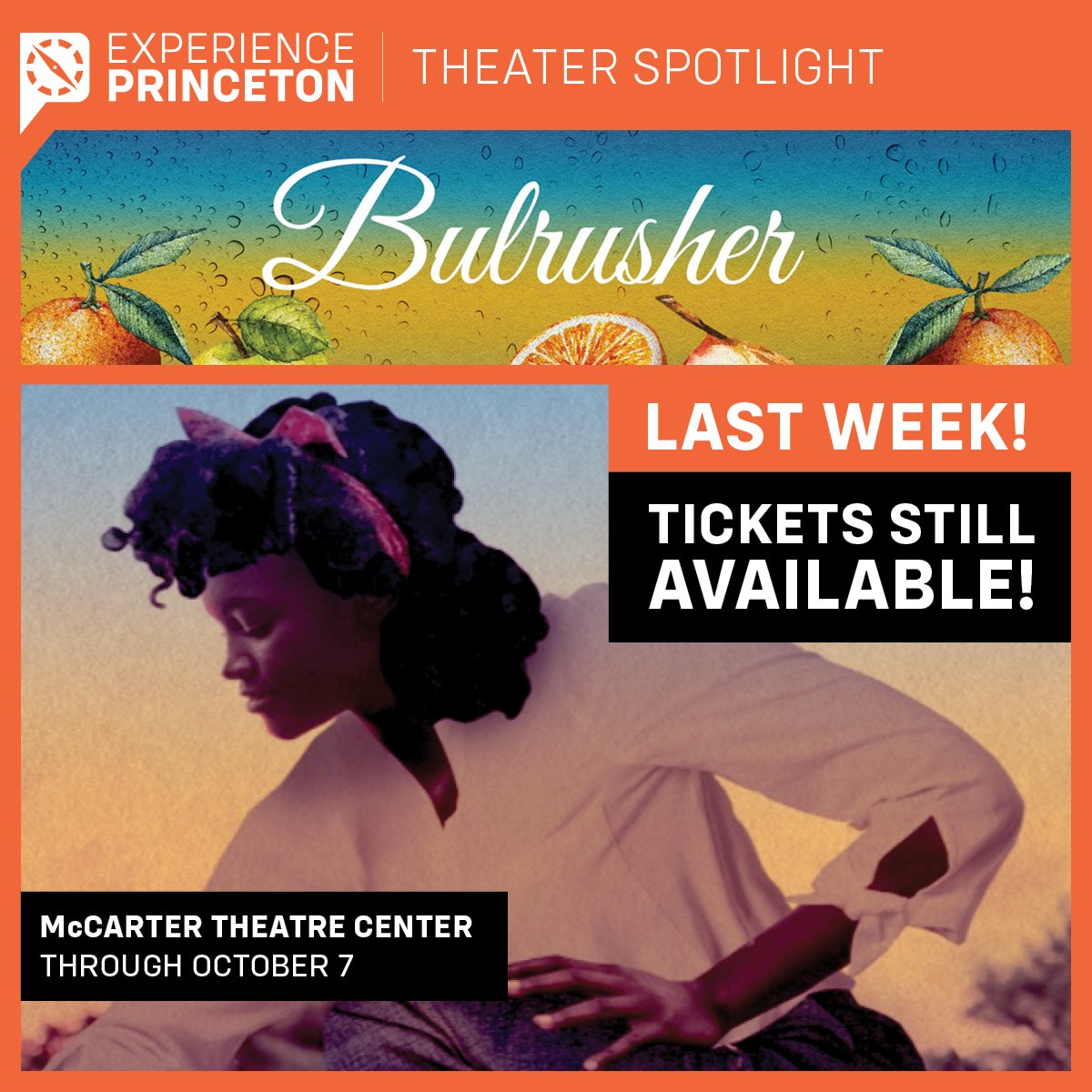 Experience Princeton tweet media