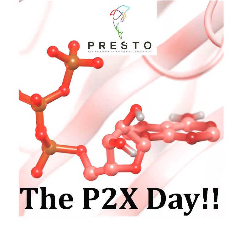 In order to increase awareness, celebrate P2X research and all the hard work of the action… we announce that the 2nd October (2-X) will now be known as The annual P2X Day!!! 🥳🎉🎊🙌🗓 #PRESTO #prestocost2023  #p2xreceptors #therapeutictargets #eucostfunding