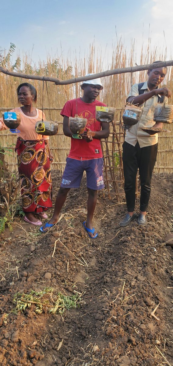 Hydroponics can be done with waste materials.