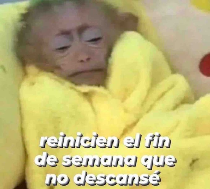 SomosSarcasmo's tweet photo. https://t.co/CCavXN132b