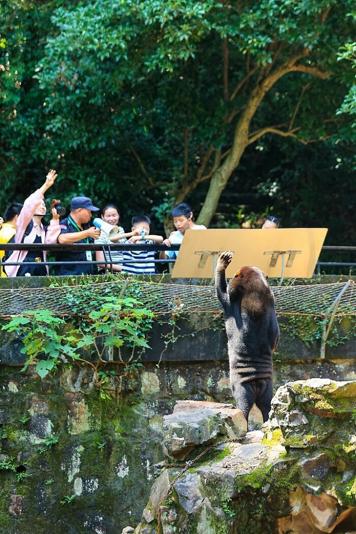 Maxim Bady tweet media