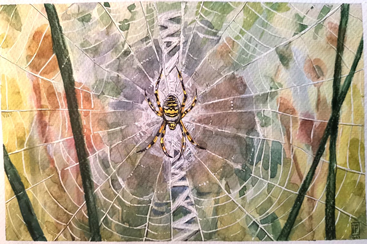 Julie Polge tweet media