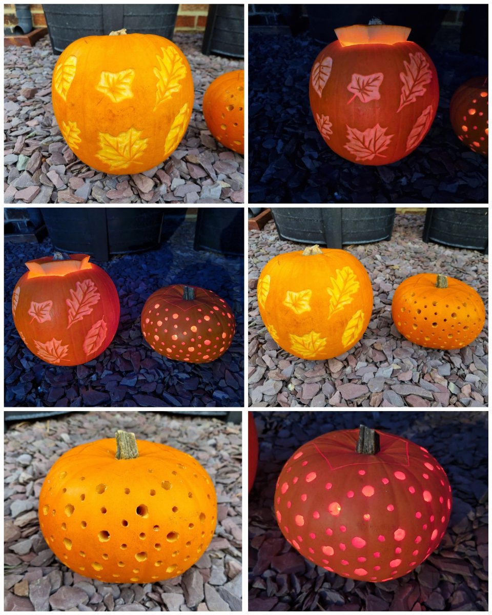 October means... Halloween! 🎃

Last year I carved my first ever pumpkins, and honestly I think I might have set the bar too high. Not sure I'll do anything as intricate this year! Would love to do another garden-themed one though. Any ideas?

#GardensHour #GardeningTwitter