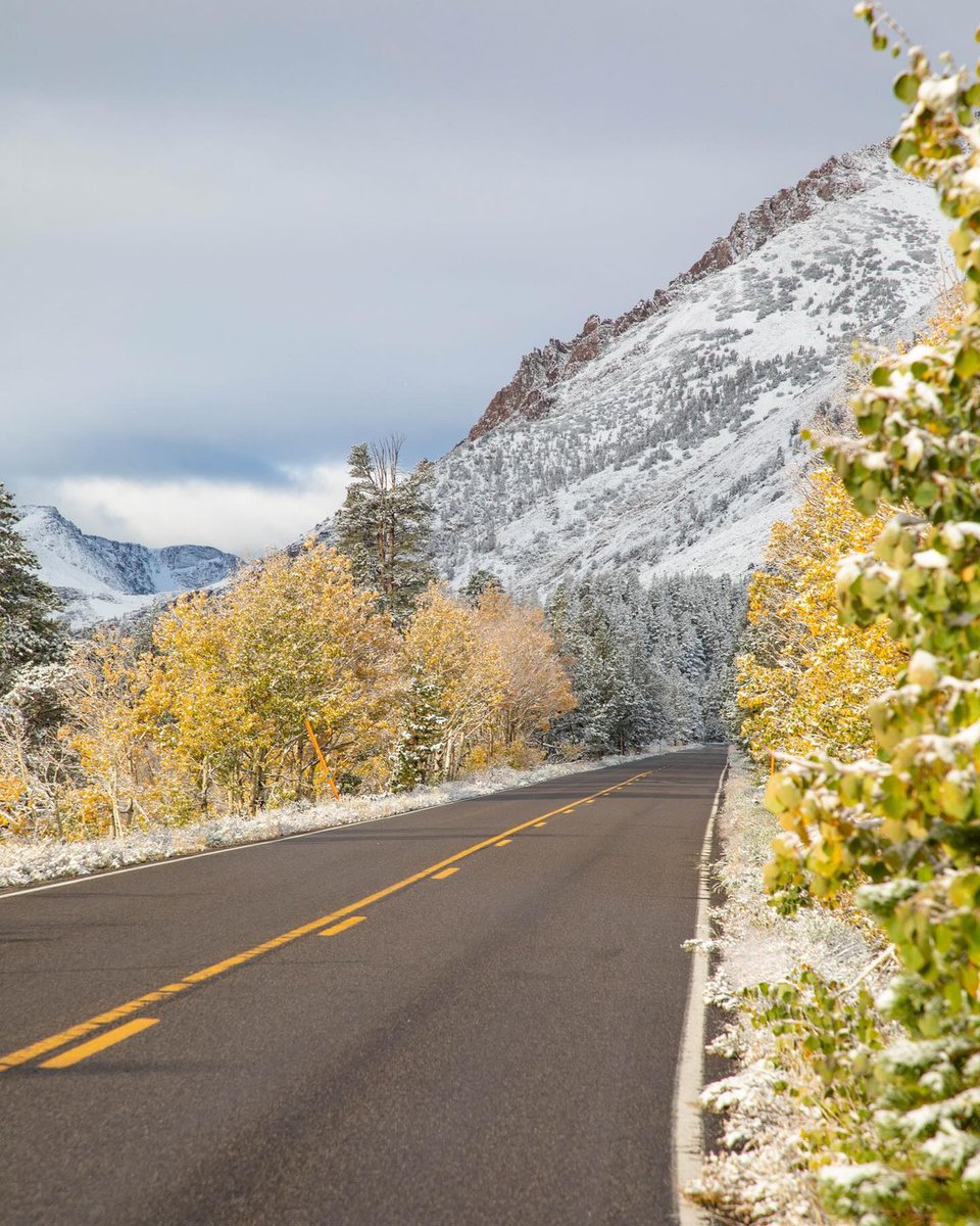 VisitCA's tweet photo. First snow of the season is here! ❄️ California’s High Sierra received a dusting of snow this weekend which has us dreaming of winter wonderlands. ⛄

📍Conway Summit and Virginia Lakes Road in @EasternSierra 

📷 Photos taken today (10/2) by monocountytourism on IG https://t.co/SzjREpz4NF