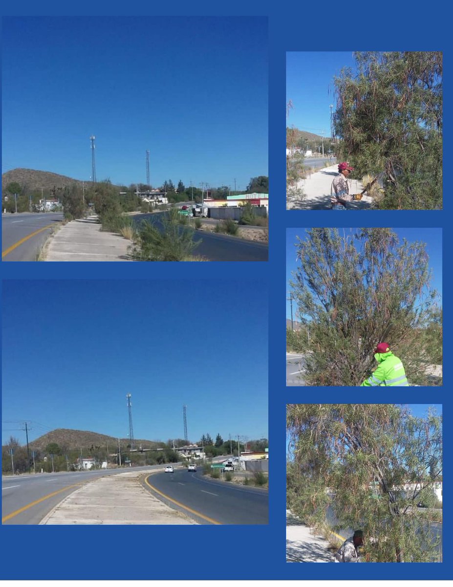 ayuntamientocdo's tweet photo. Este lunes nuestra cuadrilla de trabajadores realizó trabajos  de desmonte en carr. 54 tramo: 240+000 al 241+100 

#SeguimosTrabajandoParaTi
#GobiernoMunicipal https://t.co/sbfAmme5Po