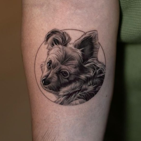 The H3 Show tweet media