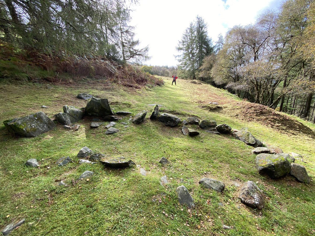 manda forster tweet media