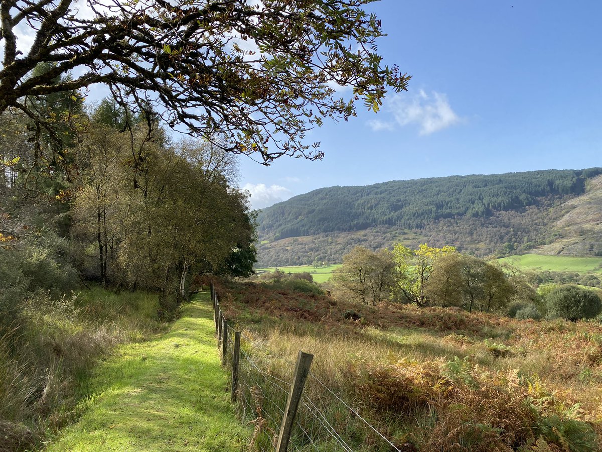 manda forster tweet media