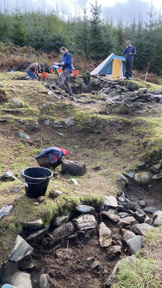 manda forster tweet media