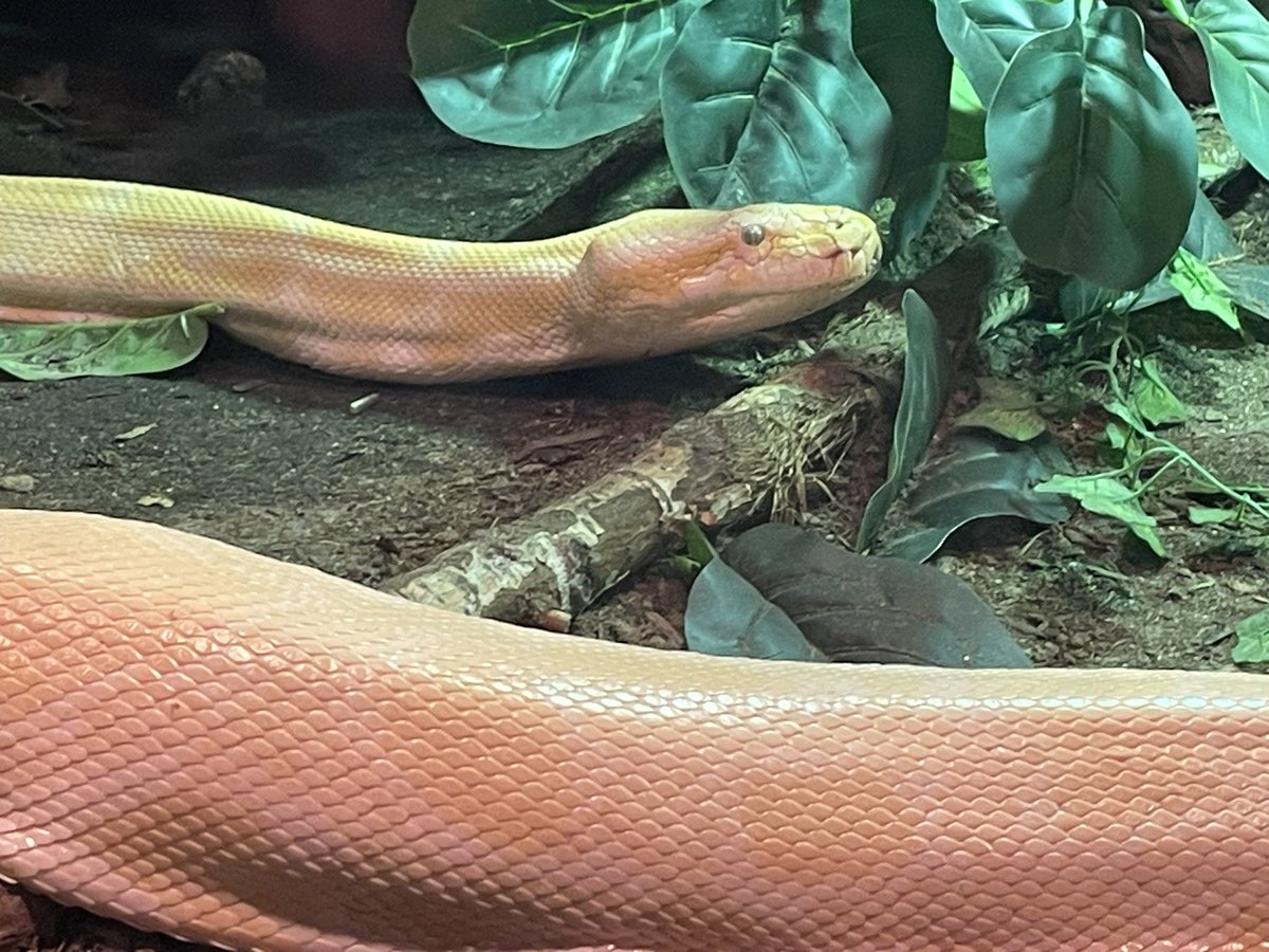 resident_in_box's tweet photo. レス来てる!!
#NHMU https://t.co/XbAijC2RaY