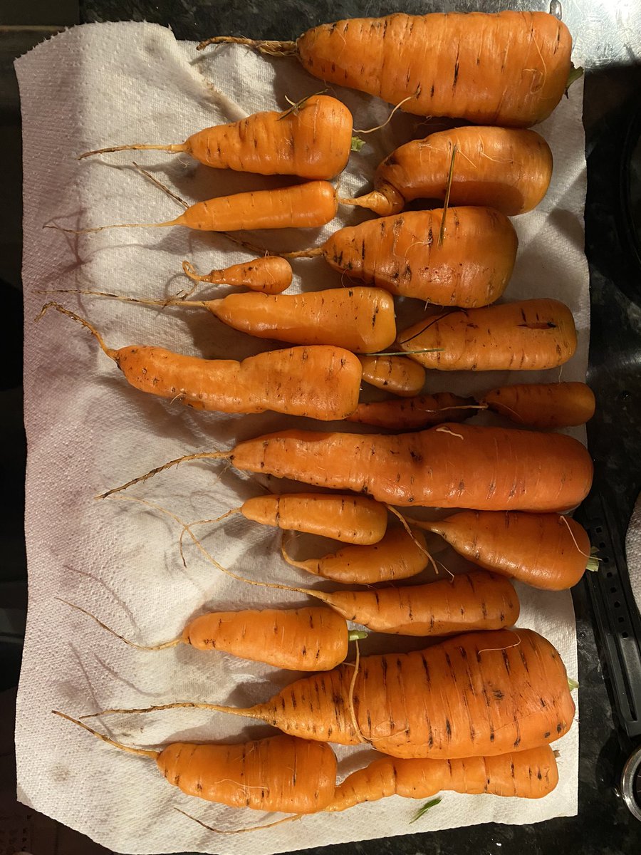 They say you never get two the same …..