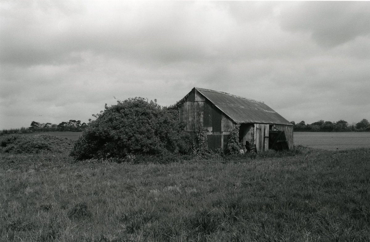 The Margate School tweet media