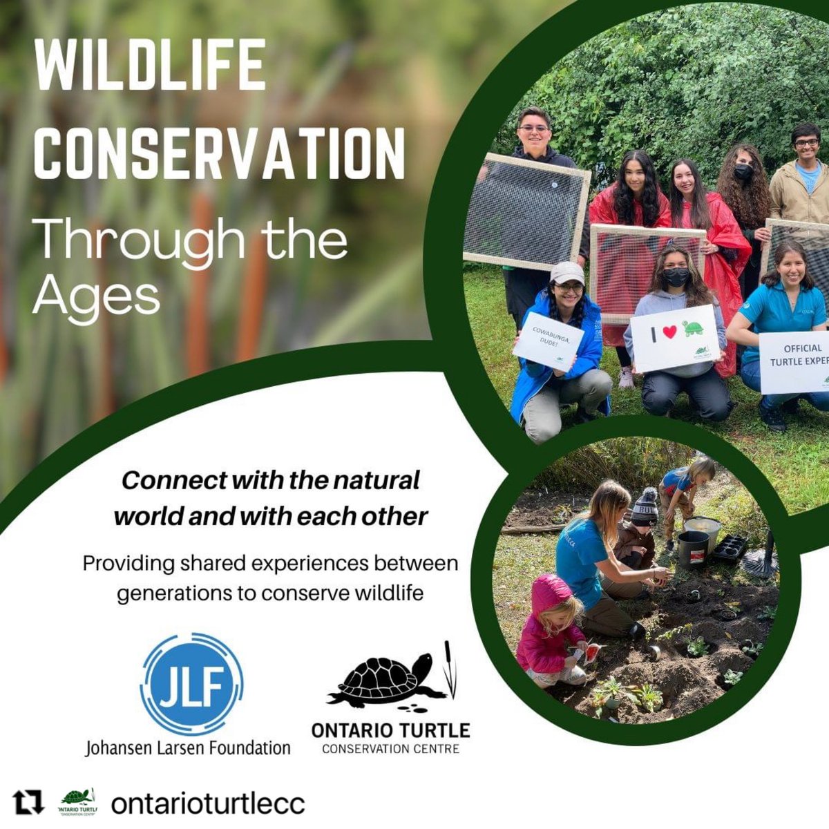 🐢 For 20+ yr, <a href="/ontarioturtlecc/">Ontario Turtle Conservation Centre</a> has been working to save #chelonians! Their mission is to protect &amp; conserve #ontario’s native turtles+habitats through running a turtle hospital, research, &amp; education. Basically, they’re AMAZING &amp; the #jlfoundation proudly supports their efforts!