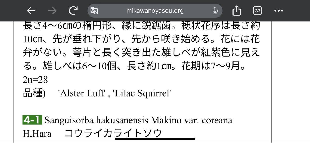 _t_m's tweet photo. Unsere Auslese Sanguisorba hakunanensis ‚Alster Luft’ hat es in die Sortimente der EU und UK geschafft, und auch in Japan ist sie schon bekannt.
#SanguisorbahakunanensisAlsterLuft https://t.co/iUiebWUB17