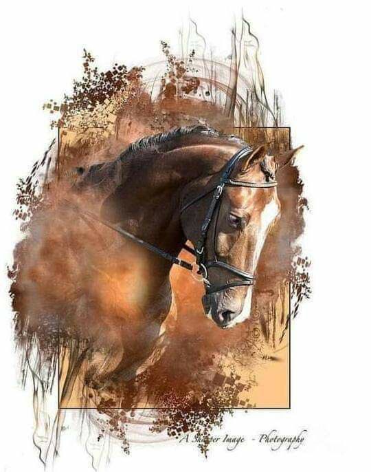 sss_bbz's tweet photo. مثل ما شإنت يجي لهإ يـوم وتزين 
  لإ تلعن ﺎلحظ  ما َتدري وش ﺎلخيرة  ..🫥 https://t.co/WTnmjMJREX