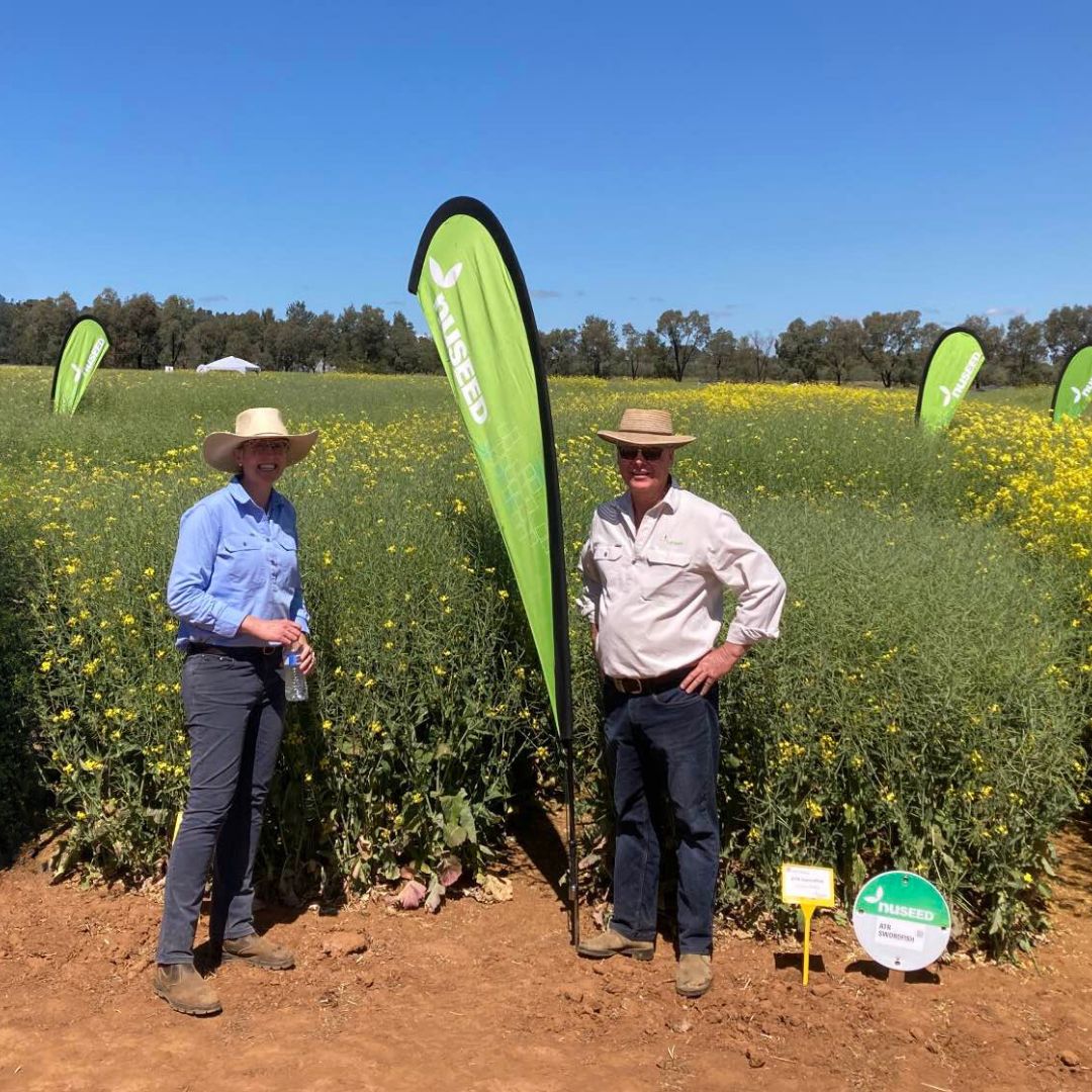 🔬 @IRCSydney2023 brought together some of our favourite things: connection, conversations, &amp; canola research!

#Nuseed were proud to share our proprietary method for canola pod shatter tolerance ratings &amp; demonstrate our world-class canola varieties at the #IRC2023 field day 🌱