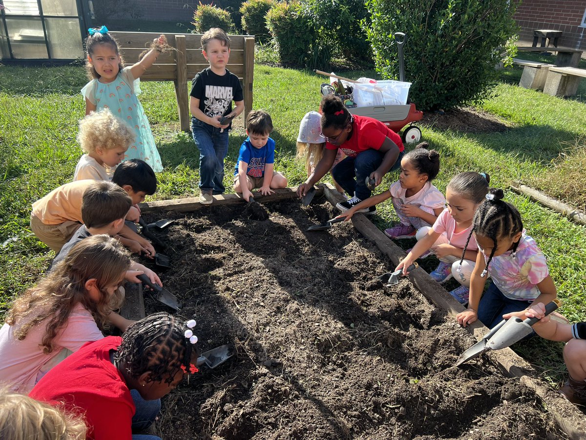 Mary Dodson tweet media