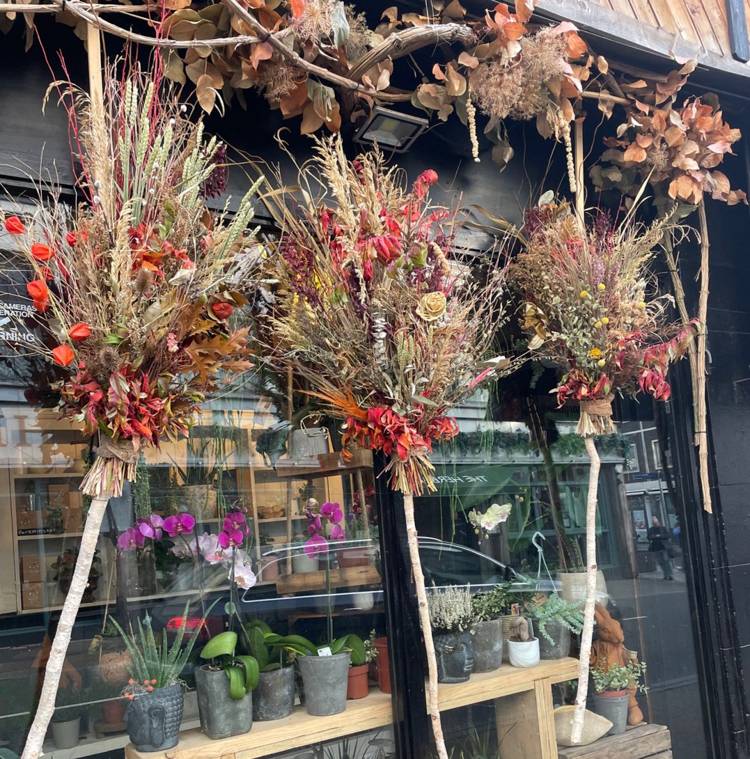 Vinetta Flower Gallery (@flowervinetta) on Twitter photo OCTOBER VIBES ๐๐๐๐ฅฎ๐๐๐
Windows can be dressed for season by your local florist.
info@vinettaflowergallery.co.uk
#autumn #autumnarrangements #instaautumn #vinettaflowergallery #maidstone #window-decoration #london #kent #natureflorals OCTOBER VIBES ๐๐๐๐ฅฎ๐๐๐
Windows can be dressed for season by your local florist.
info@vinettaflowergallery.co.uk
#autumn #autumnarrangements #instaautumn #vinettaflowergallery #maidstone #window-decoration #london #kent #natureflorals