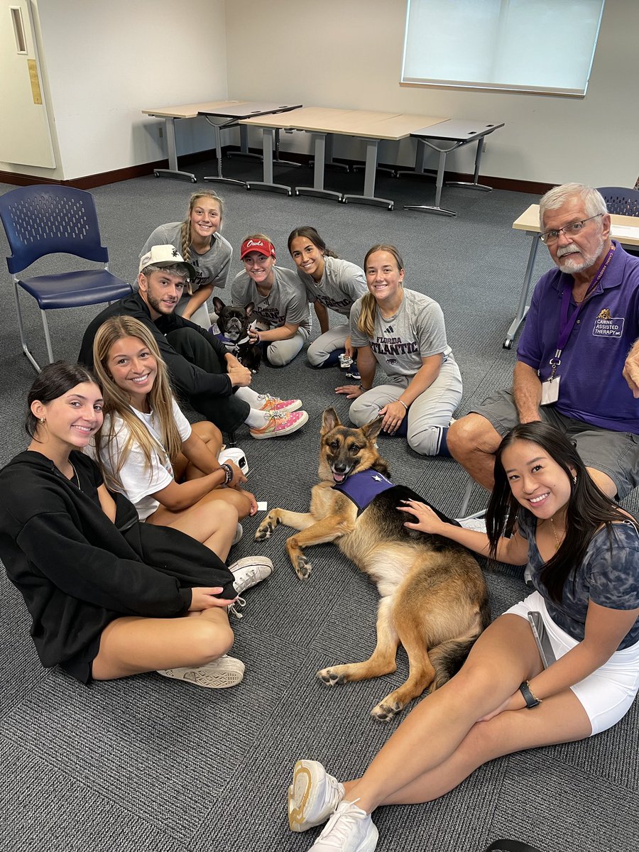 Winning In Paradise #WIP🏝️ tweet media