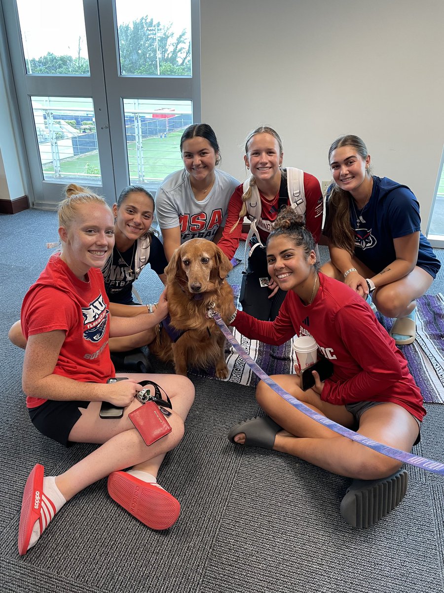 Winning In Paradise #WIP🏝️ tweet media