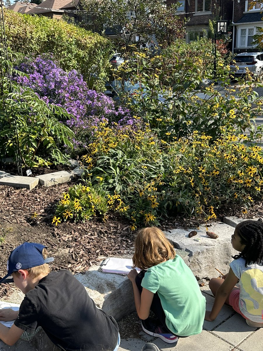 A perfect day learning about traditional First Nation peoples’ dances and also native plants in our community. @AllenbyPS_TDSB