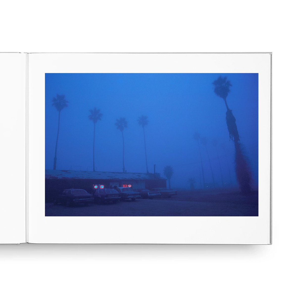 Greg Girard tweet media