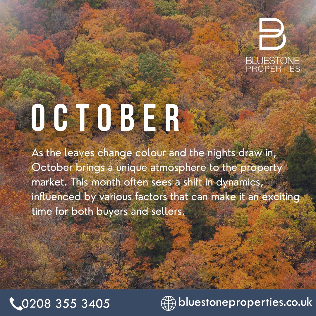 Bluestone Properties (@bluestone_pro) / Posts / X