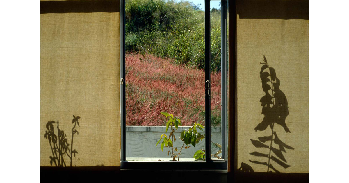 The Margate School tweet media