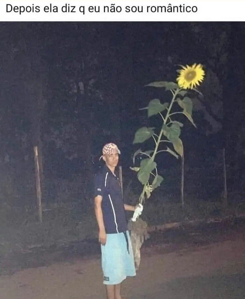 Shitpost só que de verdade (@shitpostverdade) on Twitter photo 