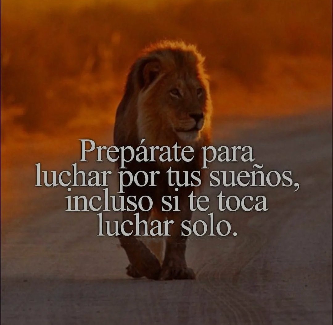 🌟✨PIENSA POSITIVO🌟✨

✨💰Preparate💰✨

🙏💰Escribe un "HOLA" para saber que me lees💰🙏