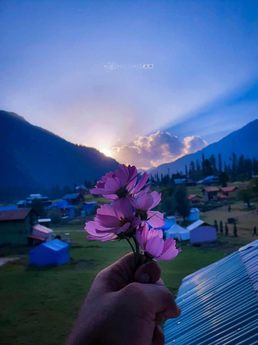Ashfaqooo's tweet photo. idk why it felt so special here...🌸
#arangkel #Kashmir #azadkashmir https://t.co/gG1JPqd8Yf
