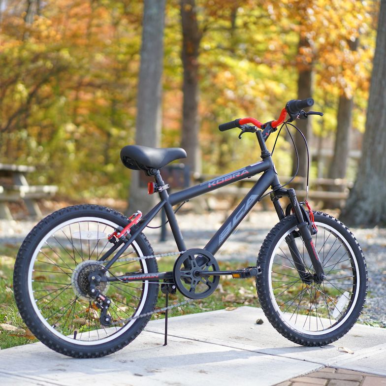 BCA Bicycles BCABicycles X