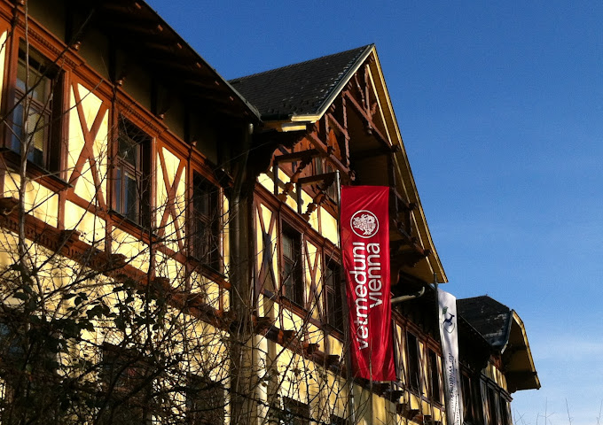 Valeria Marasco tweet media