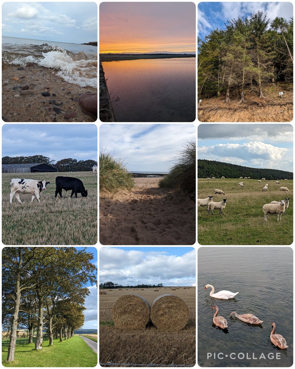 Our Silver students have been out on their practice expedition the past 2 days, the resilience they have is brilliant. One more nights camp and a day walk tomorrow and they are one step closer to bagging their award. Proud of them all 🥾🏕️