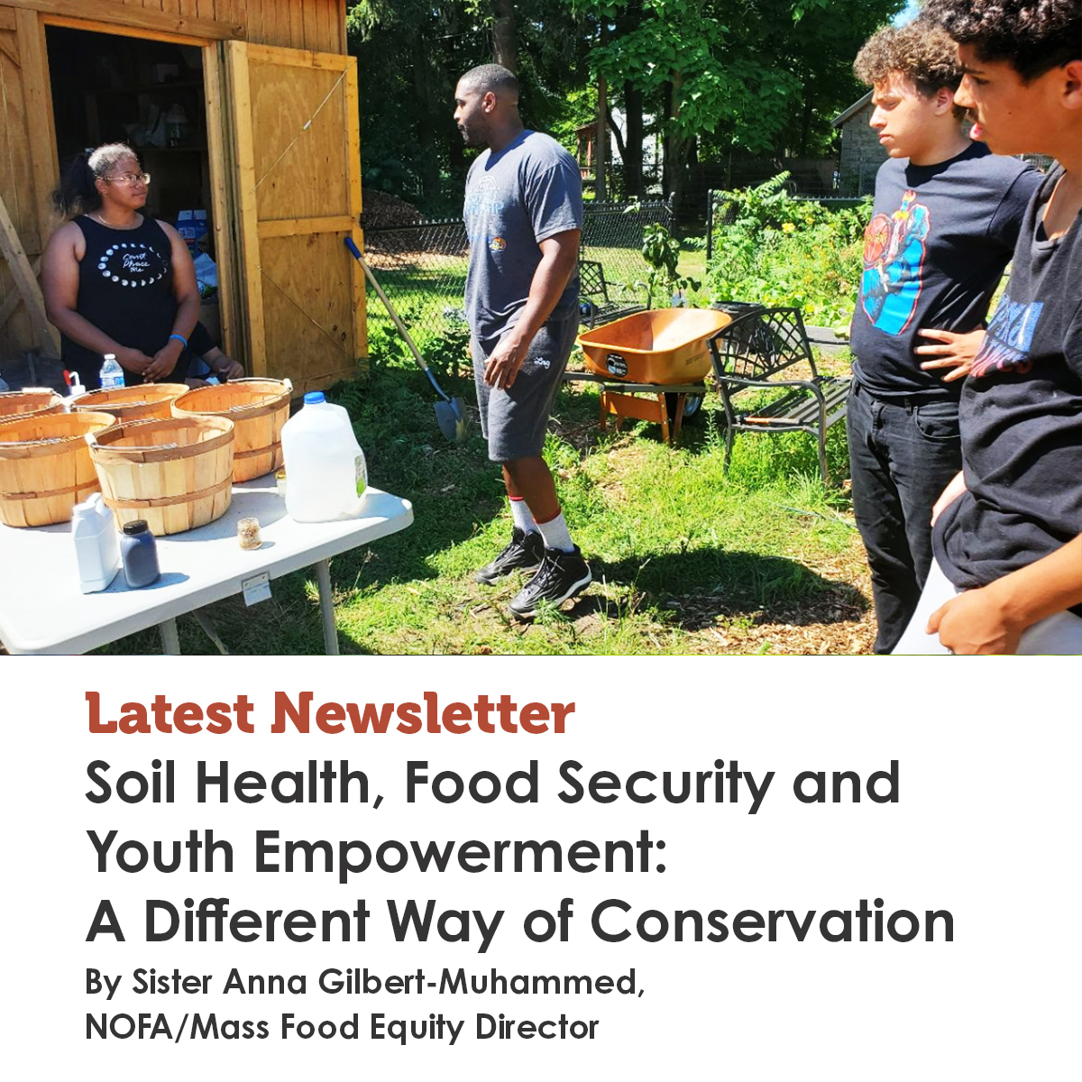 Check out our latest newsletter on the NOFA/Mass initiative, Tapley Garden in Springfield MA
mailchi.mp/nofamass/janau…