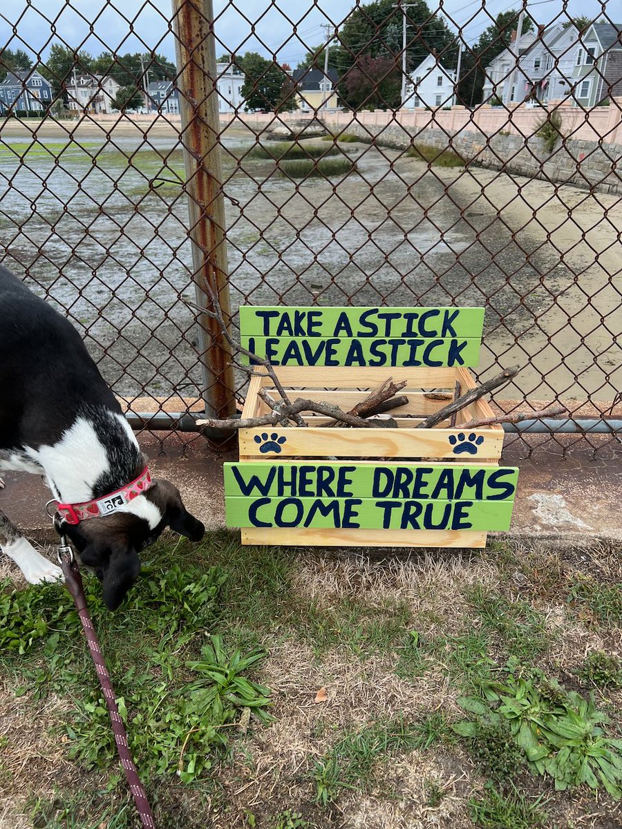 Forrest Dowling tweet media