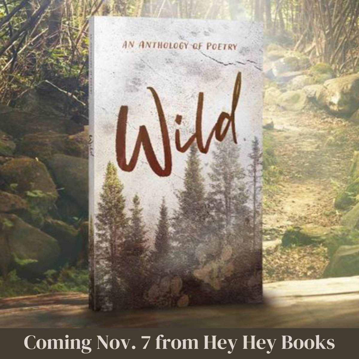 In just over a month, @hey_hey_books WILD: An Anthology of Poetry releases with THREE of my poems! 🎉 Excited for Nov. 7. #amwriting #poetry4all #poetsoftwitter #poetrycommunity #poetryforall