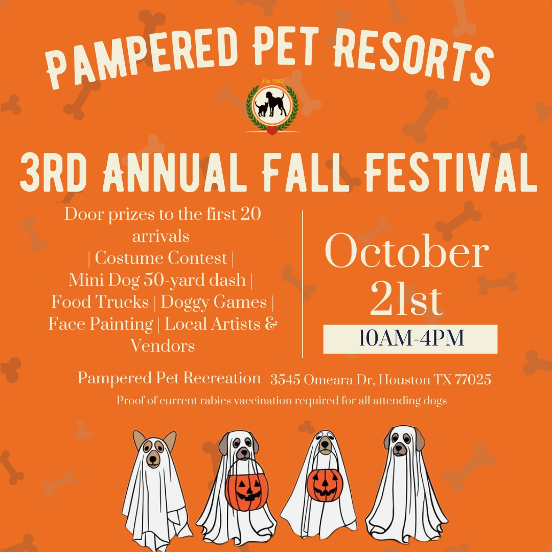 PamperedPetInn's tweet photo. We are thrilled to host our third annual Pampered Pet Resorts Fall Festival on Saturday, October 21, 2023! Get ready for a day filled with fun, excitement, and lots of wagging tails. 🎃🐾✨⁠
⁠
Click the link to secure your free ticket!⁠
⁠
https://t.co/jBk4FHXJg0 https://t.co/0NKqzgdxzC
