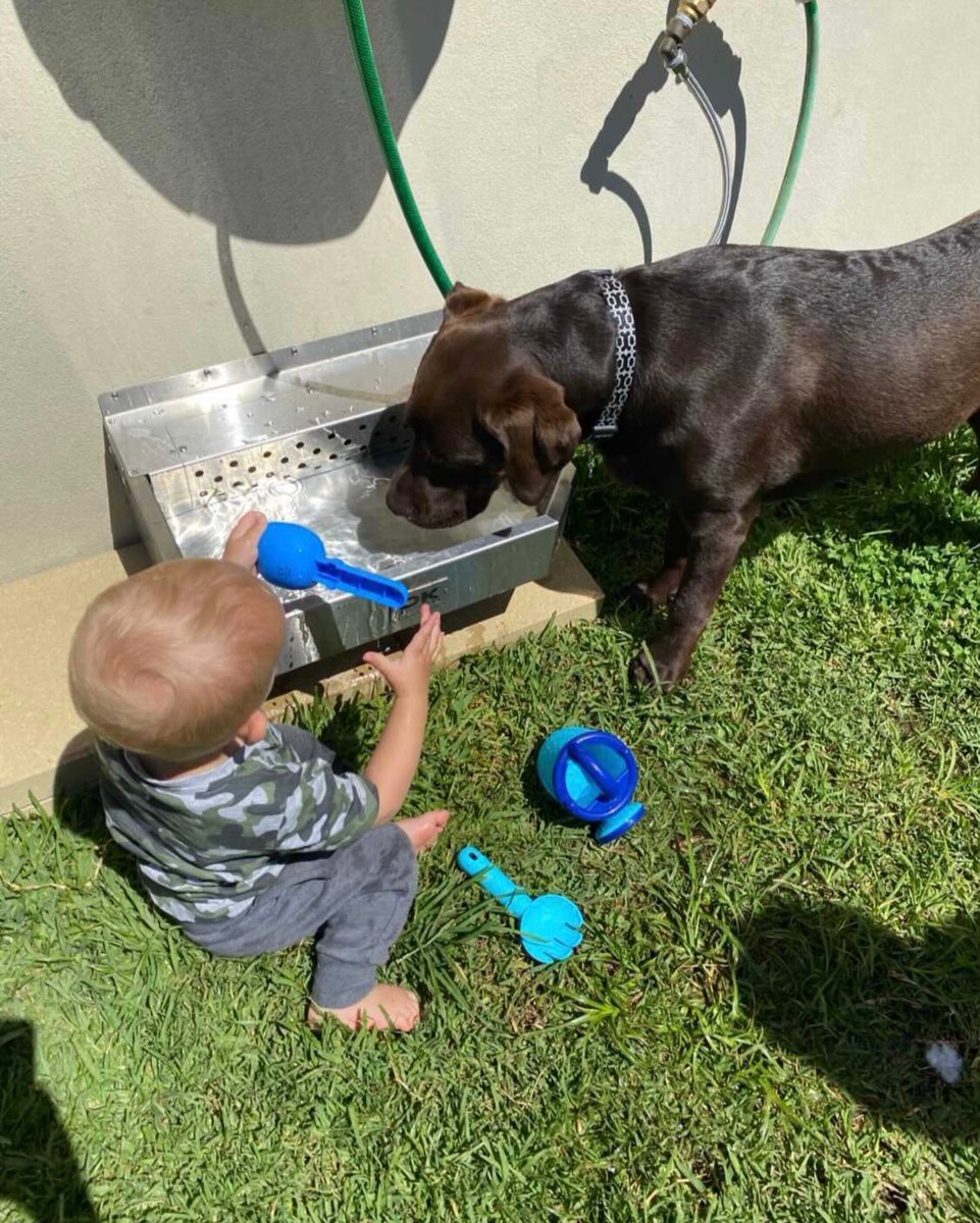 DkStainless's tweet photo. Not just the doggos enjoying the Pet Rehydration Station 😆
Some of our fav photos we've been sent ☺️

🇦🇺 Aussie Made &amp; Owned
💻 https://t.co/dvBoZHcyfx
#aussiebusiness #australianbusiness #closeddown https://t.co/2RInATMQDN