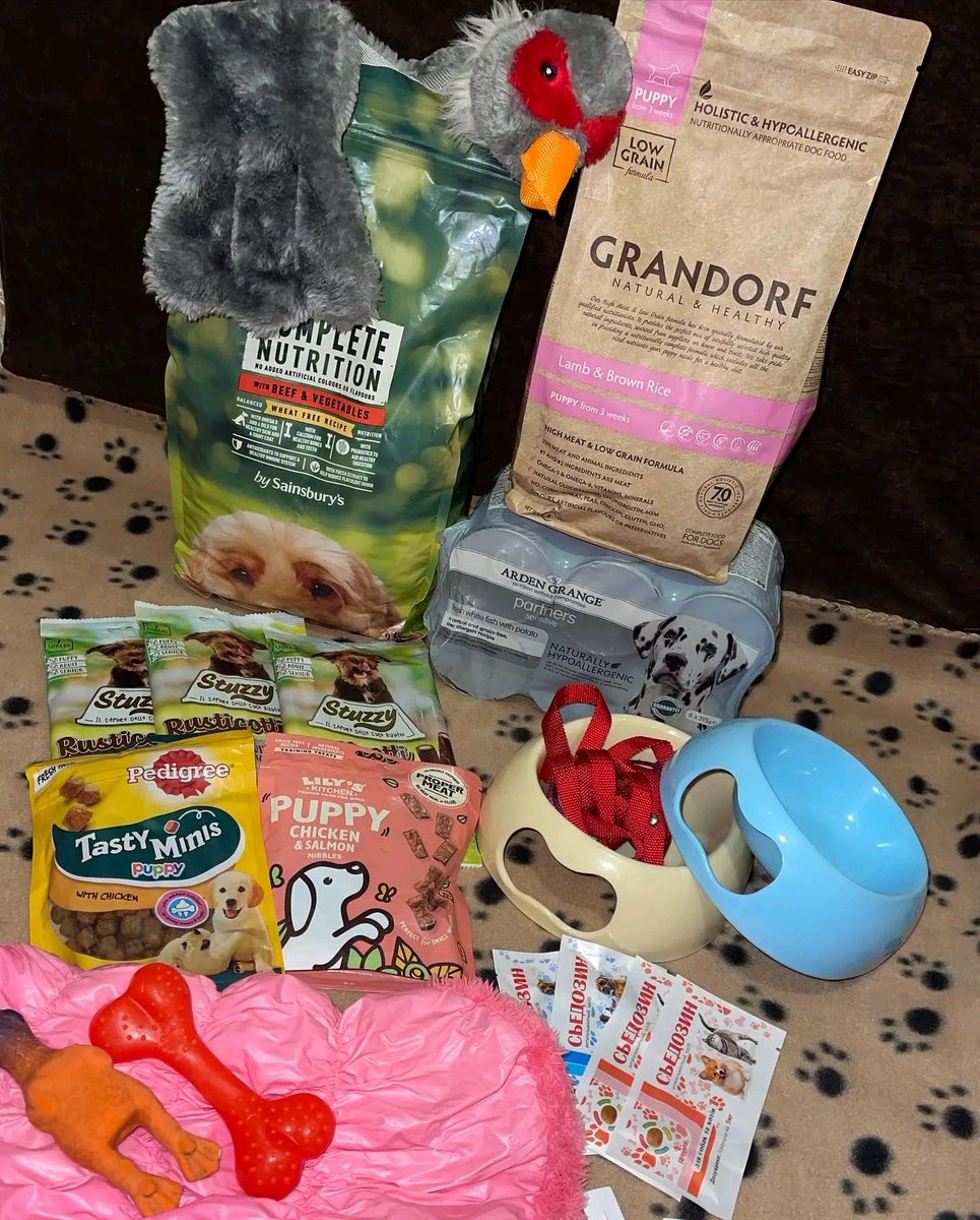 Tailscareua's tweet photo. Do you love news like this💒

Friends, we just transferred such a girl to a wonderful family❤️ The little one went home with gifts🎁 We collected everything you need✔️
She will still have little brothers on the street..

Let's save lives together🫶 https://t.co/YNIsZZW26W