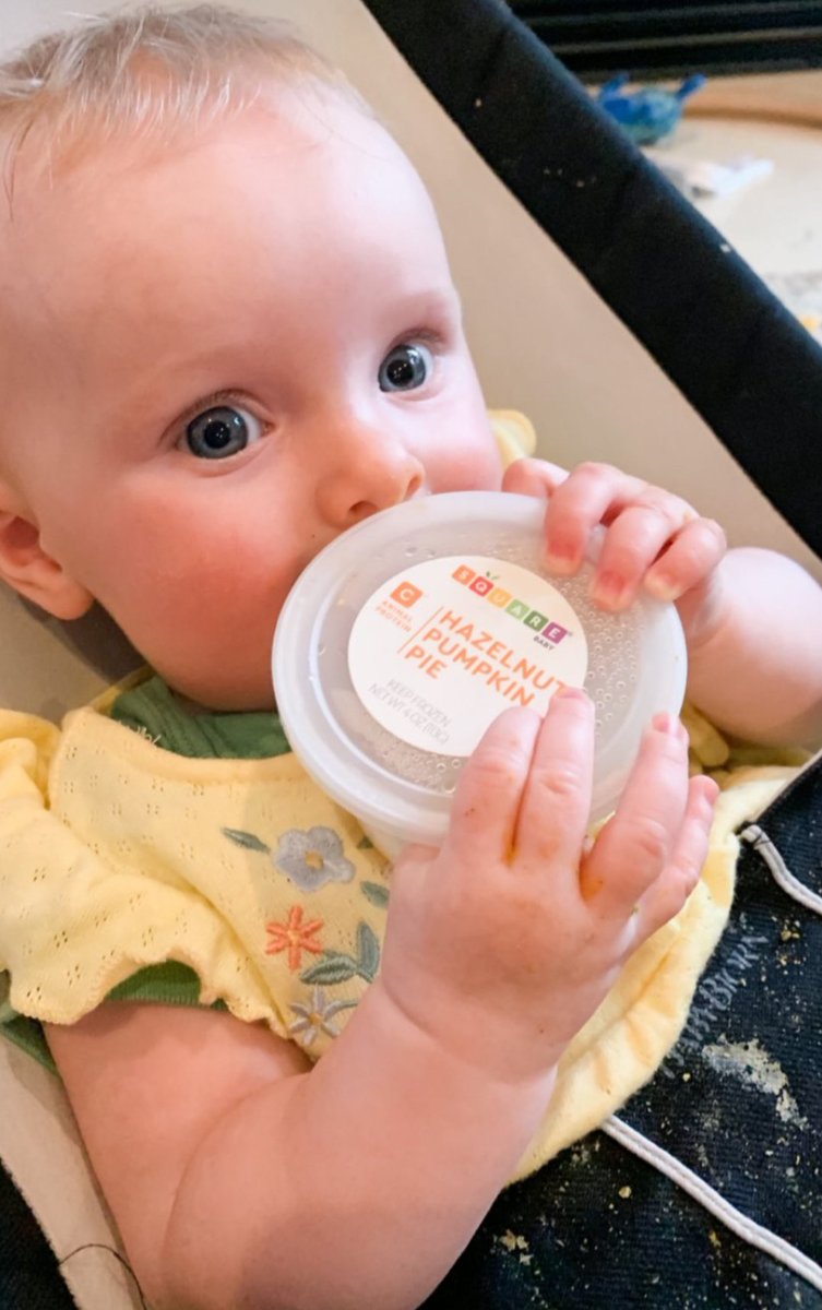 When your food is so good...you start to eat the container 🤣!!

Order your fall 🍁 favorites on our website squarebaby.com!

#squarebaby #allsquaredaway #squarefoods #skills #veggiesearlyandoften #realfood #babynutrition