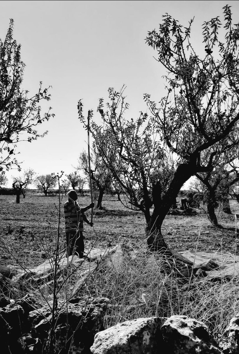 #Stupore_Lucano #basilicata #tradizioni #natura #nature #naturephotography #italia #photography #italy #landscape #love #naturelovers #photo #photooftheday #travel #instagood #naturaleza #green #picoftheday #flowers #montagna #fotografia #trekking #relax #sky #sunset #mountains