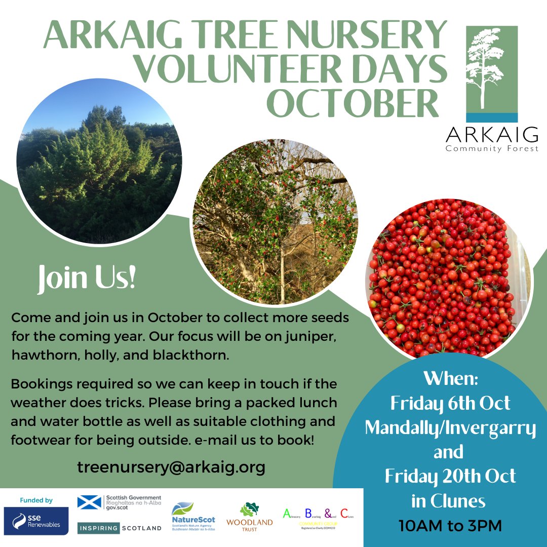 ArkaigForest's tweet photo. Join us on Mandally on Friday for Juniper collecting! https://t.co/x7oF4YNpRZ
