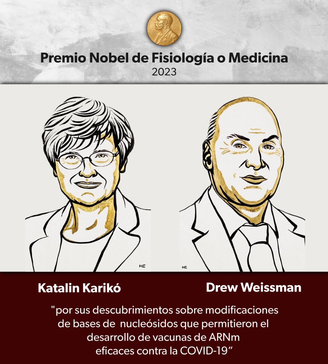 amciencias's tweet photo. El #PremioNobel de Fisiología o Medicina 2023 fue otorgado a Katalin Karikó y Drew Weissman por sus descubrimientos sobre modificaciones de bases de nucleósidos que permitieron el desarrollo de vacunas de ARNm eficaces contra la COVID-19.

Mas información: https://t.co/of2lJtH3jG https://t.co/bonRriWvJR