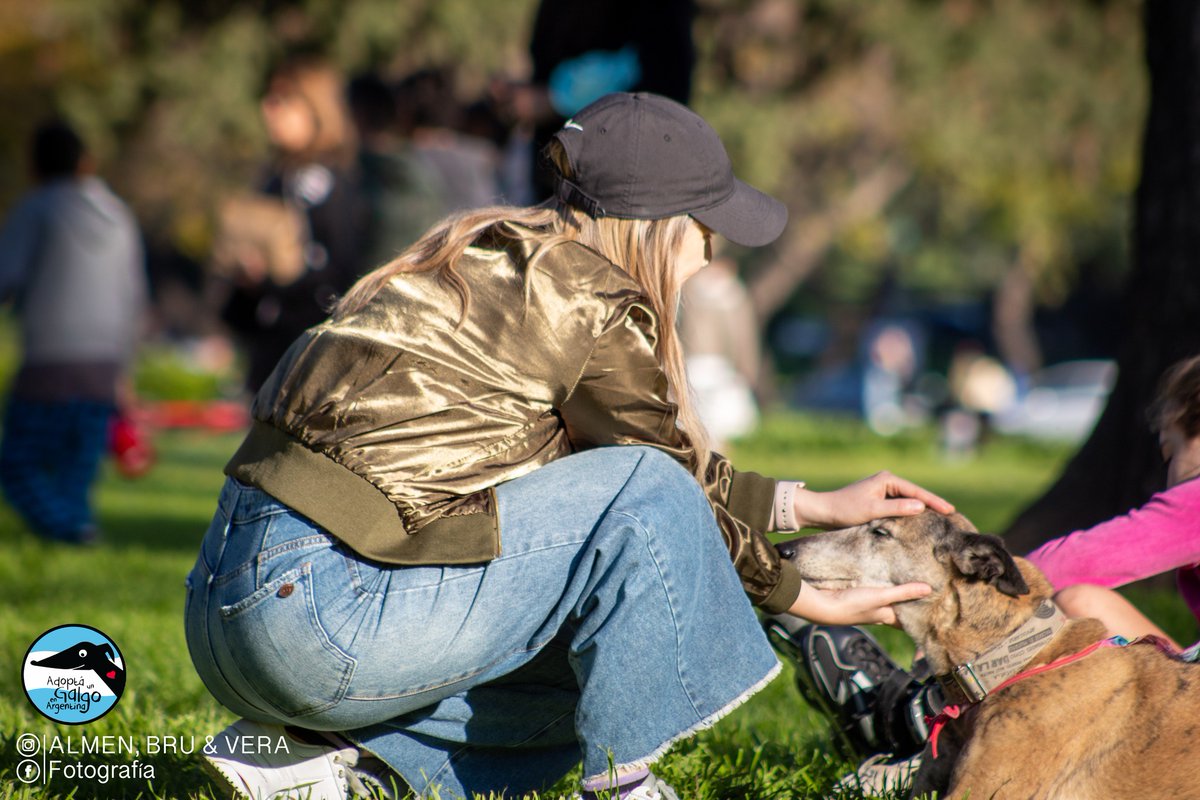AdoptaUnGalgo's tweet image. Algunas fotos de lo que fue el Encuentro de Galgos Felices 😃
Gracias a todos los que se acercaron a colaborar, mimaron galguis y nos ayudan a seguir rescatando 🥰