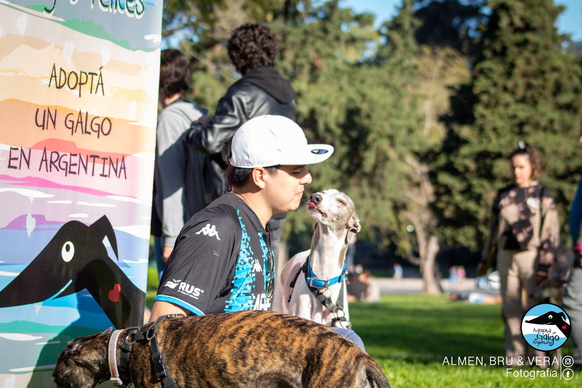 AdoptaUnGalgo's tweet image. Algunas fotos de lo que fue el Encuentro de Galgos Felices 😃
Gracias a todos los que se acercaron a colaborar, mimaron galguis y nos ayudan a seguir rescatando 🥰