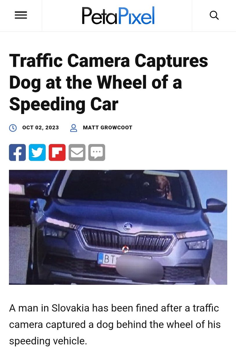 Si van a dejar que sus mascotas conduzcan, al menos enséñenles a respetar las normas de tránsito. No creo que puedan apelar ese comparendo.

#NoticiasQueParecenMemes